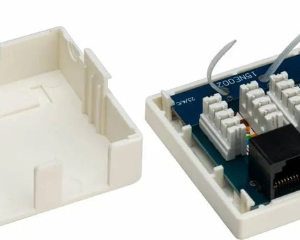 CAT6 netwerkdoos 2x RJ45 UTP - Networkdiscount.com